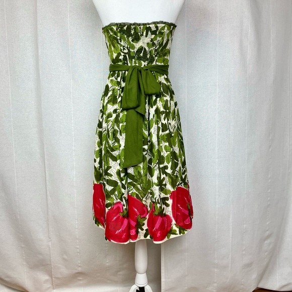 Anthro Berry Months Dress - Picture 4 of 7